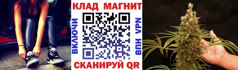 Где продают наркотики Муром Псилоцибиновые грибы  Cocaine  СОЛЬ  Бошки Шишки  Мефедрон  ГАШ 