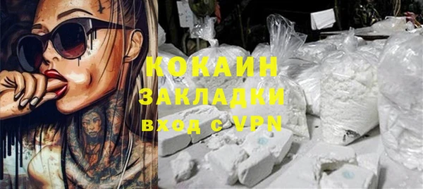 индика Алзамай