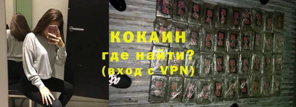 индика Алзамай